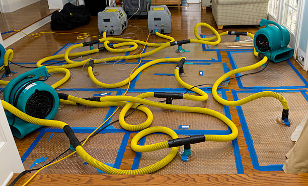 Professional Crawl Space Water Removal technician working in Powell, OH